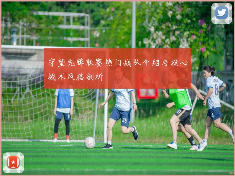 守望先锋联赛热门战队介绍与核心战术风格剖析