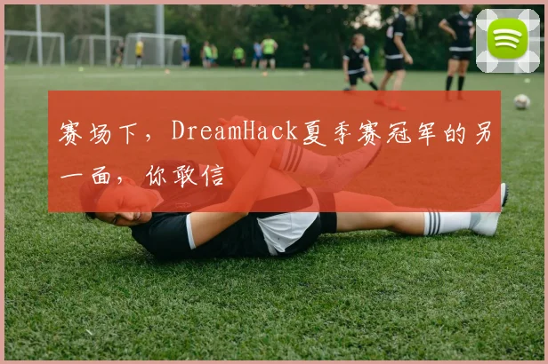 赛场下,DreamHack夏季赛冠军的另一面,你敢信