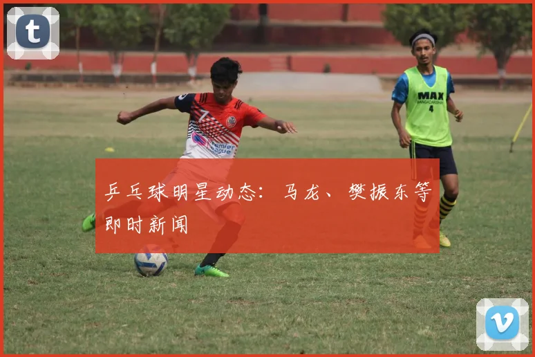 乒乓球明星动态：马龙、樊振东等即时新闻