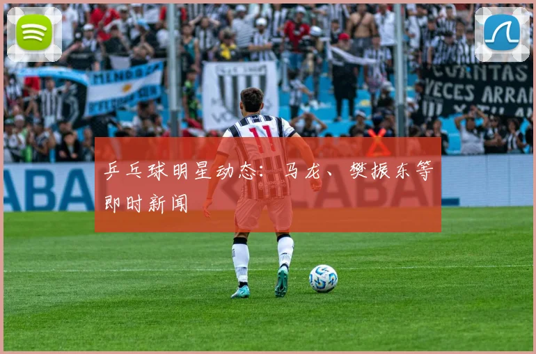 乒乓球明星动态：马龙、樊振东等即时新闻