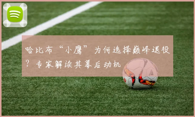 哈比布“小鹰”为何选择巅峰退役？专家解读其幕后动机