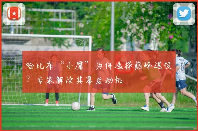哈比布“小鹰”为何选择巅峰退役？专家解读其幕后动机