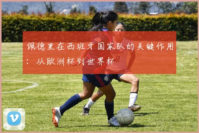 佩德里在西班牙国家队的关键作用：从欧洲杯到世界杯